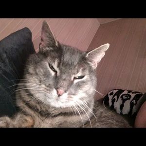 Meet your Posher, Sandy